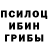 Галлюциногенные грибы мухоморы Elena Bluvshtein