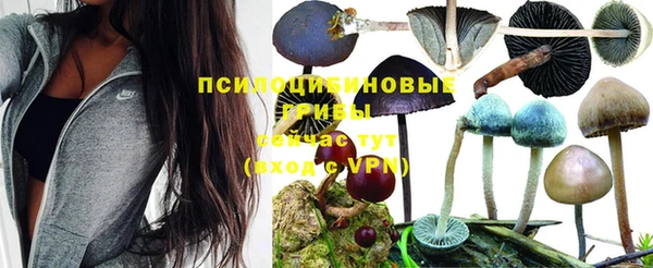 мескалин Аркадак
